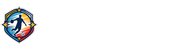 世界杯半决赛直播